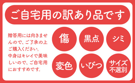 【先行予約】スイカ 訳あり 小玉すいか 2玉 約 2kg ～ 3kg M ～ 3L 混合 株式会社Foody’s 食彩たかみ 《2027年5月下旬-7月下旬頃出荷》 熊本県 菊池市 フルーツ 果物 スイカ すいか 訳あり 小玉 九州産 冷蔵 送料無料