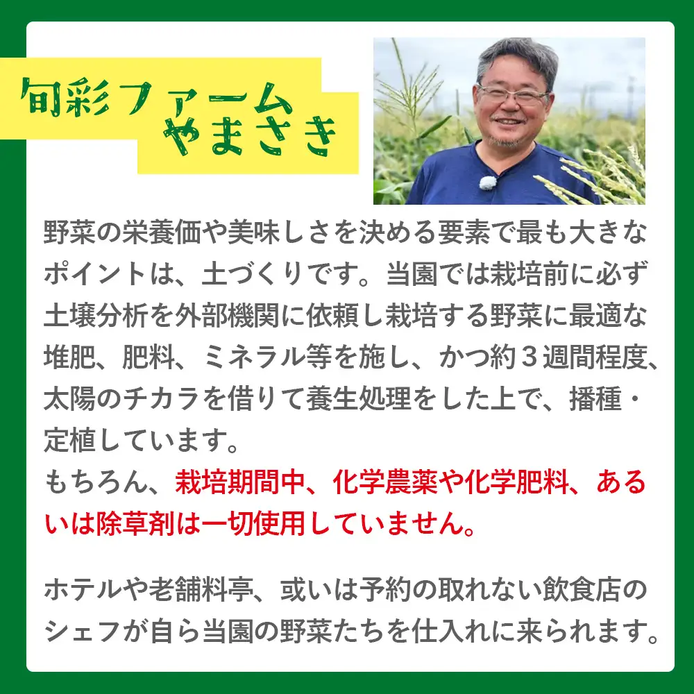 ブロッコリー 約2kg 産地直送 ブロッコリー 2025年12月中旬から順次配送 sy-0010