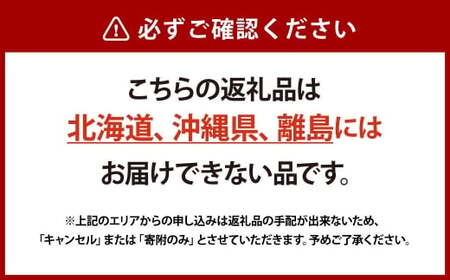 岡山県産 シャインマスカット 晴王 2房 約1.2kg【2026年9月上旬-10月下旬 発送予定】｜種無し 皮ごと食べる 旬の美味しさ フレッシュ 先行予約 ハレノフルーツ