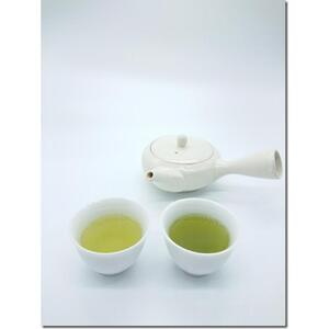 お茶処静岡　栽培農家やぶきた一番茶煎茶味わいセット　100g入×6袋◆