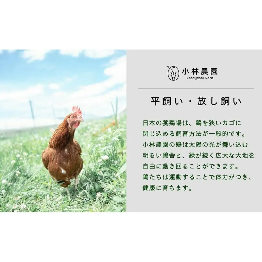 【全12回定期便】親鶏のスパイスカレー 5個（辛口）【テンアール株式会社】 カレー スパイス [AXAN088]