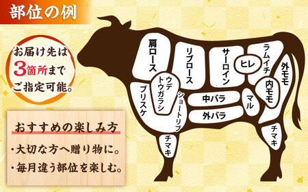 【博多和牛】一頭食べ尽くしセット[AFBO097]