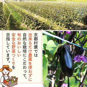 お米 ヒノヒカリ 10kg 令和6年産 京都 お米