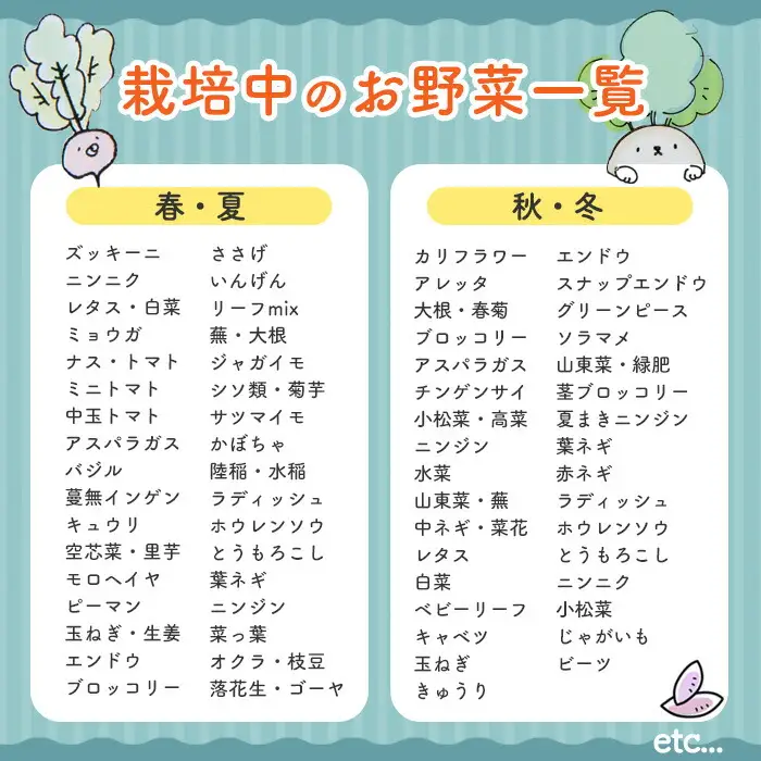 季節のお野菜 セット(7～9種) 野菜 やさい 詰合せ 詰め合わせ 季節 おまかせ お楽しみ【117000100】【しん屋】
