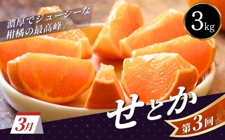 ＼新登場／ 【全3回定期便】和歌山のプレミア柑橘定期便 （越冬早生みかん・せとか・春峰） ※2027年1月より3回お届け / みかん 定期便 柑橘 せとか フルーツ 早生みかん ミカン 和歌山 果物 田辺市 くだもの【tcs012-tk】