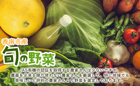 定期便2回コース 高知県香南市産 旬のお野菜詰合せ(10～13品目)【野菜 野菜詰め合わせ 野菜セット 野菜定期便 土佐野菜 野菜】 Wpr-0018