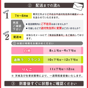 《先行予約》令和8年産 3回定期便「フルーツ 定期便 香（かおり）」白桃・洋梨（ラ・フランス）・りんご（サンふじ）2026年産 山形県産【2026年8月上旬頃から発送開始予定】※配送不可 沖縄・離島　035-B-MM081