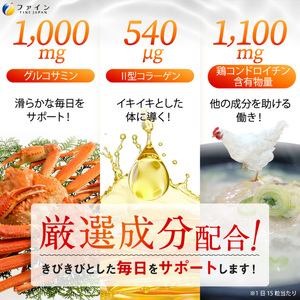 【ふしぶし気になる方に】コンドロイチン＆グルコサミン100日分