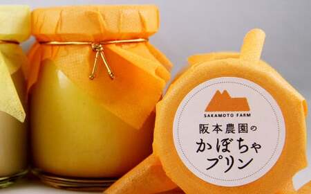 【 3ヶ月 定期便 】 濃厚 かぼちゃプリン 6個入り 6個×3回 計18個 ／ スイーツ おやつ デザート 洋菓子 カボチャ 南瓜 パンプキン 冷凍
