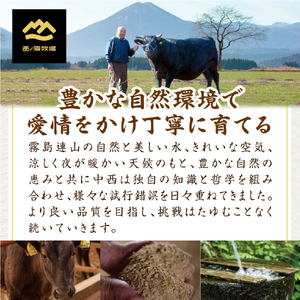 【生産者まかない用特別提供品】宮崎和牛不揃いカットステーキ 500g（国産 牛肉 国産牛 和牛 黒毛和牛 赤身 不揃い ステーキ 焼肉） ステーキ 和牛ステーキ 牛肉ステーキ 国産ステーキ 訳ありステーキ 西ノ原牧場