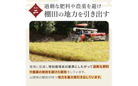 ※使用しない W10P436 【数量限定 令和6年産】わかとち産 魚沼コシヒカリ 特別栽培 棚田米 特選 2kg 箱入 生産者限定 贈答 白米 魚沼 新潟