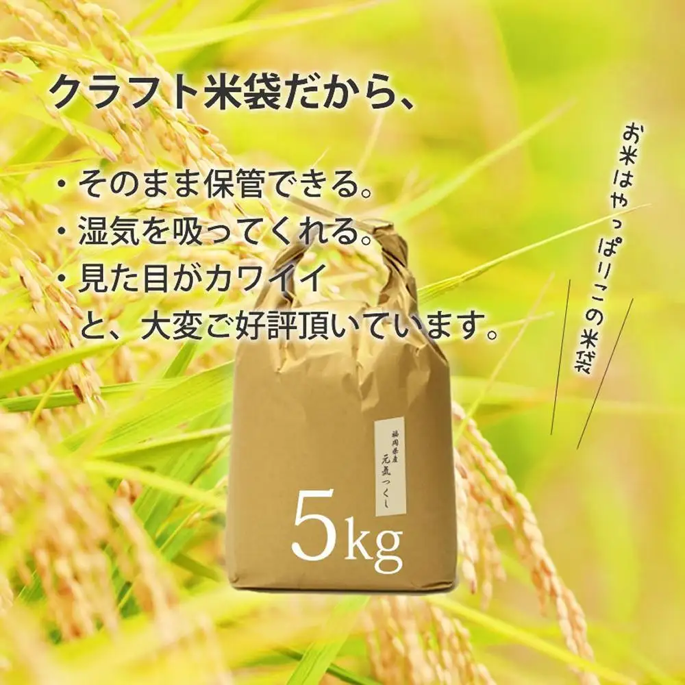 令和7年産 福岡県産【特A】評価のお米「元気つくし」5kg×1袋 5kg [白米]