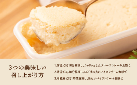 お菓子 沖縄フロマージュ１０種のチーズケーキ 1箱