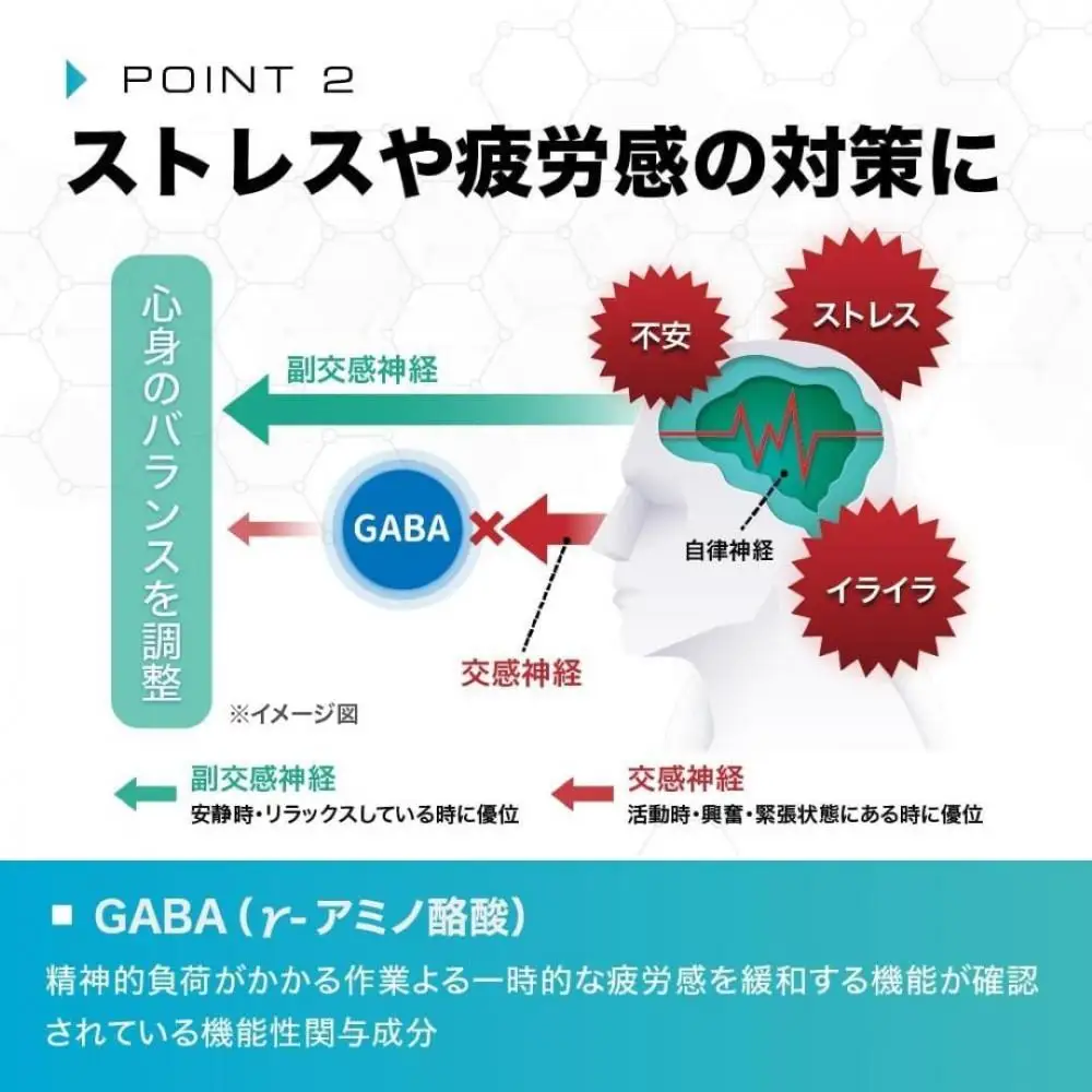 【セロトシードR4】休息サポートサプリ｜1袋・90粒・30日分｜クロセチン GABA バコピン
