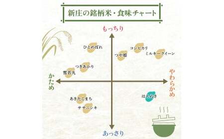 令和7年産 ＜定期便 6回＞ 山形県産 はえぬき 精米 10kg （5kg×2）【最上ノ米蔵】 F3S-2489