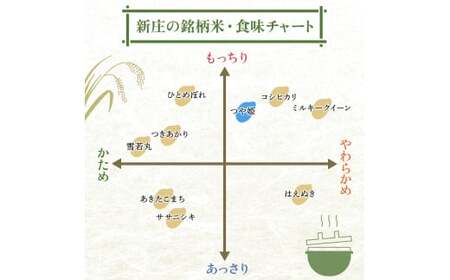 ＜定期便 3回＞ 令和7年産 つや姫 5kg×2 計10kg 精米 【最上ノ米蔵】 山形県産 こめ お米 米 白米 F3S-2565