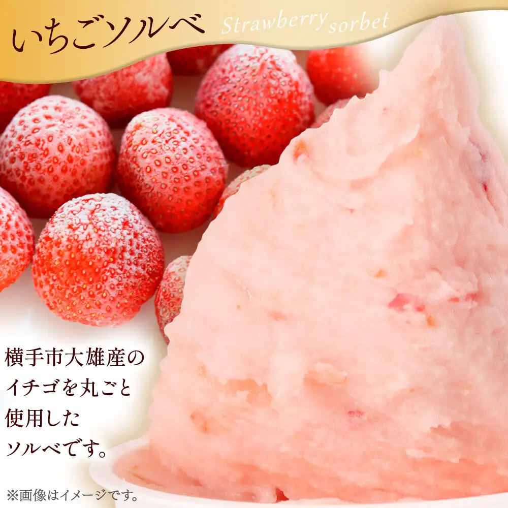 ジェラート いちごソルベ 約100g×8個