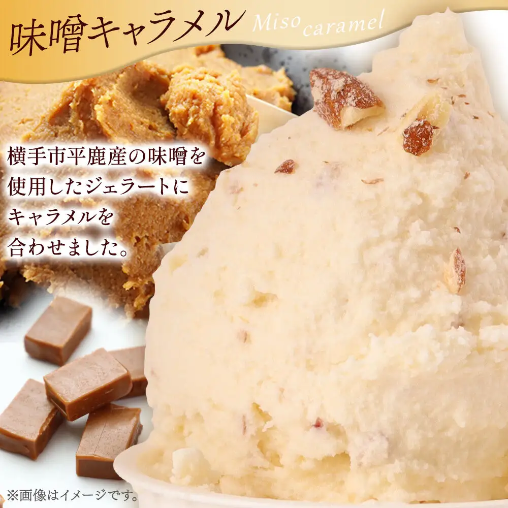 ジェラート 味噌キャラメル 約100g×8個