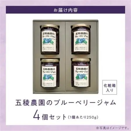 ブルーベリージャム 250g×4個【1186202】