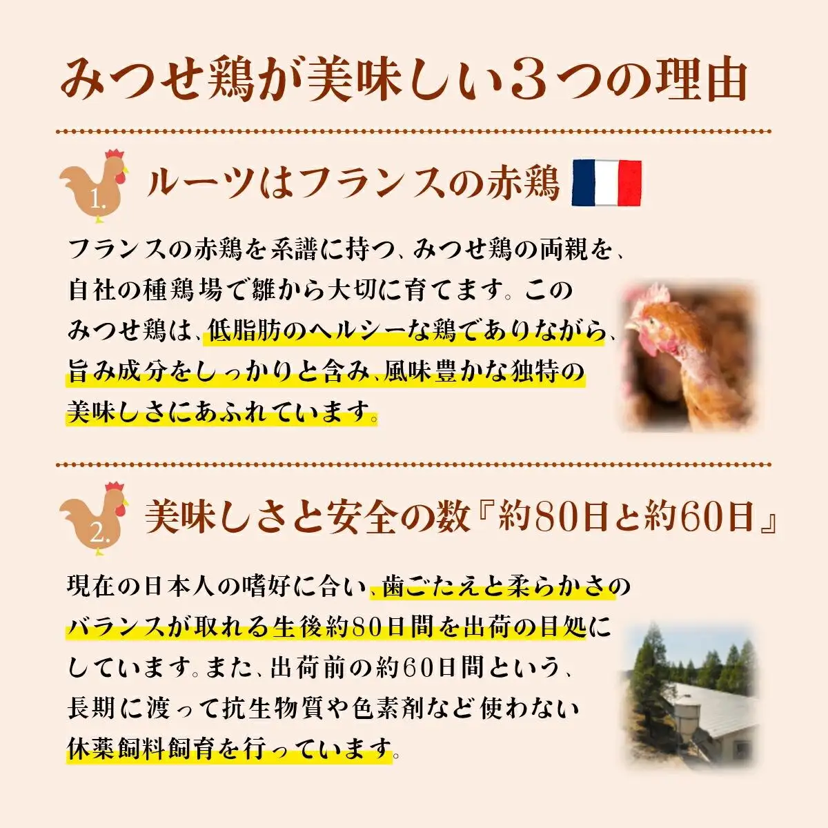 【定期便 年6回】みつせ鶏 バラエティ定期便