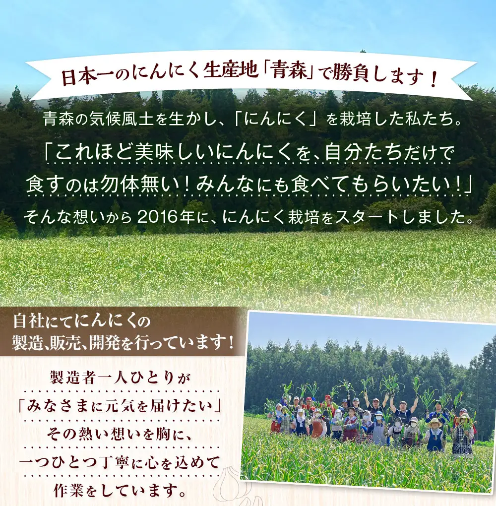 【青森県産】にんにく 上級品 1kg　