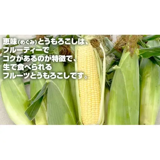 嬬恋産 めぐみ コーンスープ 150g × 5袋 とうもろこし コーンスープ スープ めぐみとうもろこし レンチン レンジ 嬬恋村 レトルト [AE007tu]