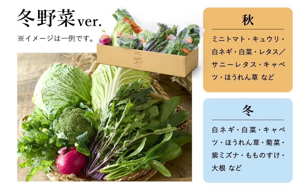 ベジプラ特選 旬の野菜セット Veggie de＋