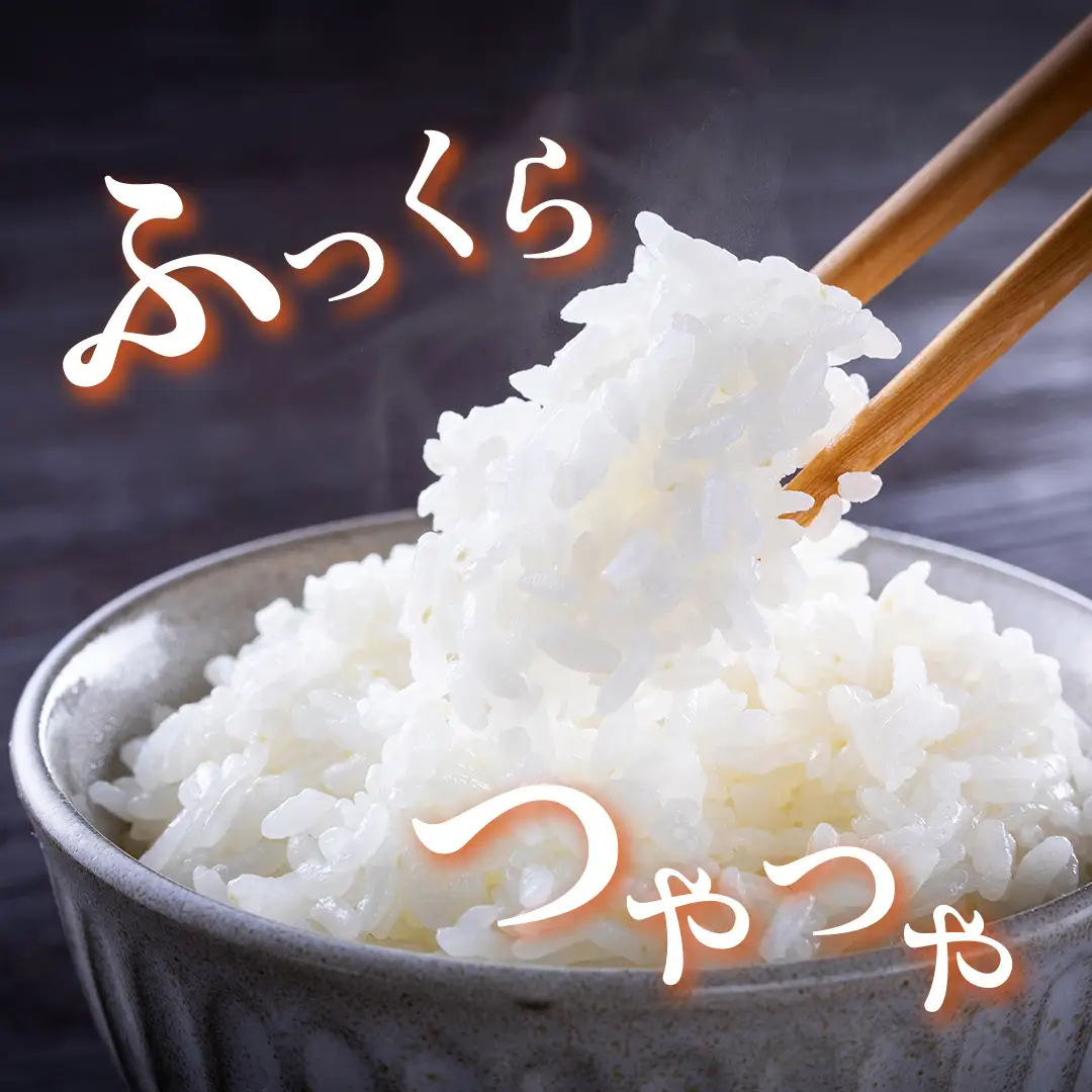 《 令和8年産 》 全3回 定期便 桜川市産 こしひかり 10kg × 3回 新米 先行予約 3ヶ月 茨城県 桜川市 米 お米 白米 コメ ごはん 精米 コシヒカリ 国産 限定 銘柄米 [SC053sa]