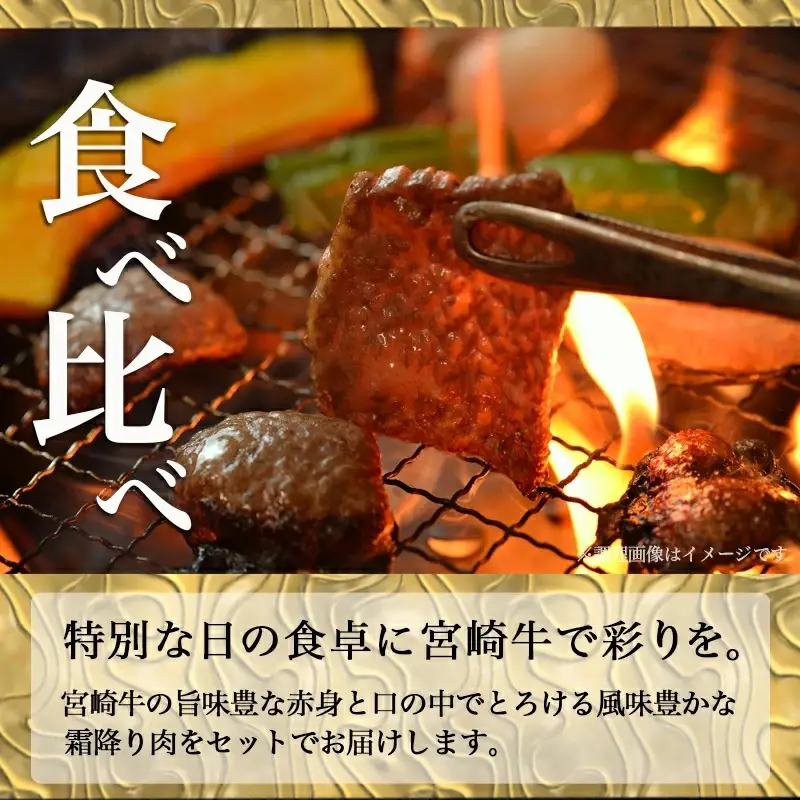 宮崎牛赤身＆霜降り【とろ旨カルビセット】550g〔17-6506〕_(都城市) 牛肉 牛もも焼肉用(300g×1パック) 牛肩ロース焼肉用(250g×1パック) 合計550グラム 赤身肉 霜降り肉 ギフト 贈答用