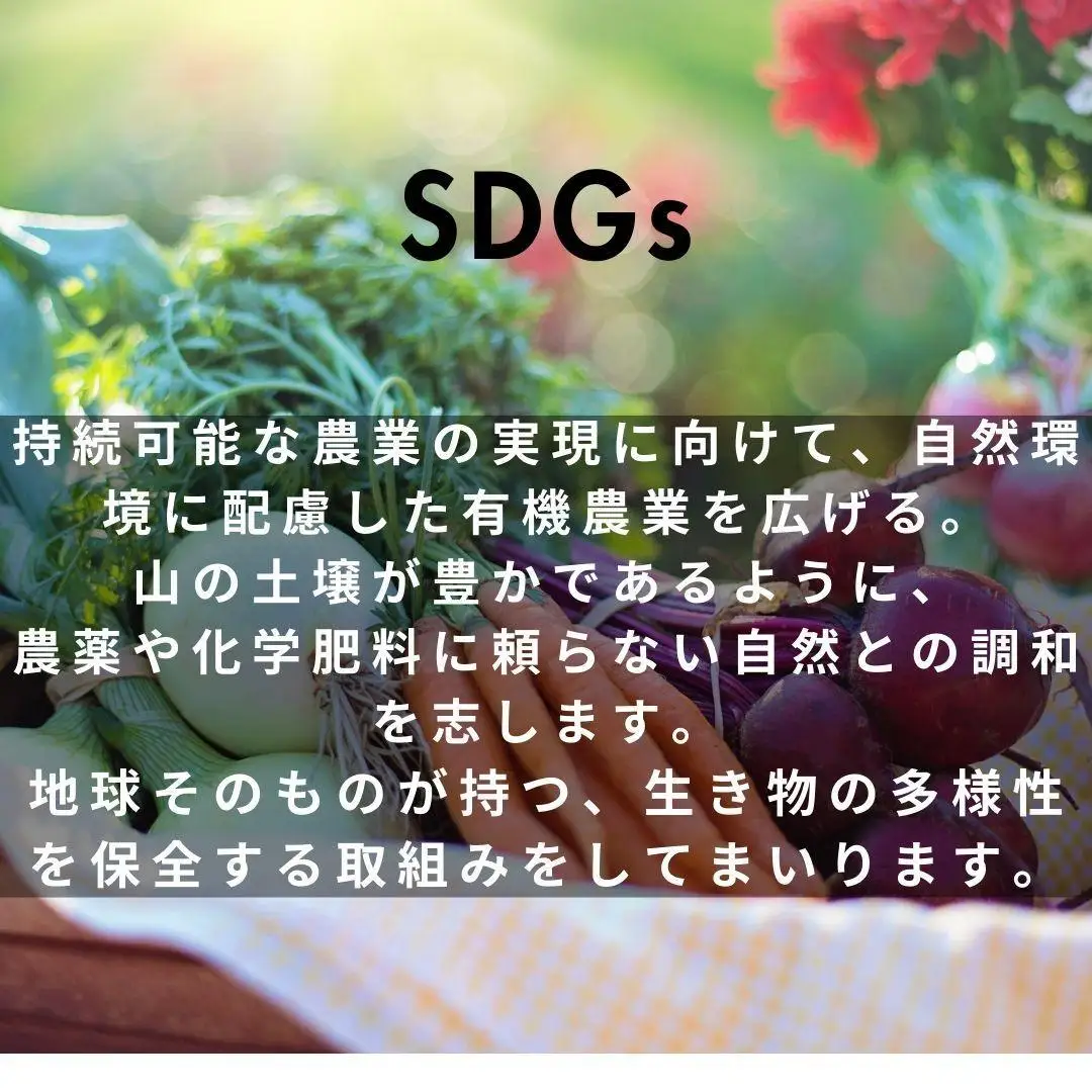やさいのキラメキセット【神戸市】