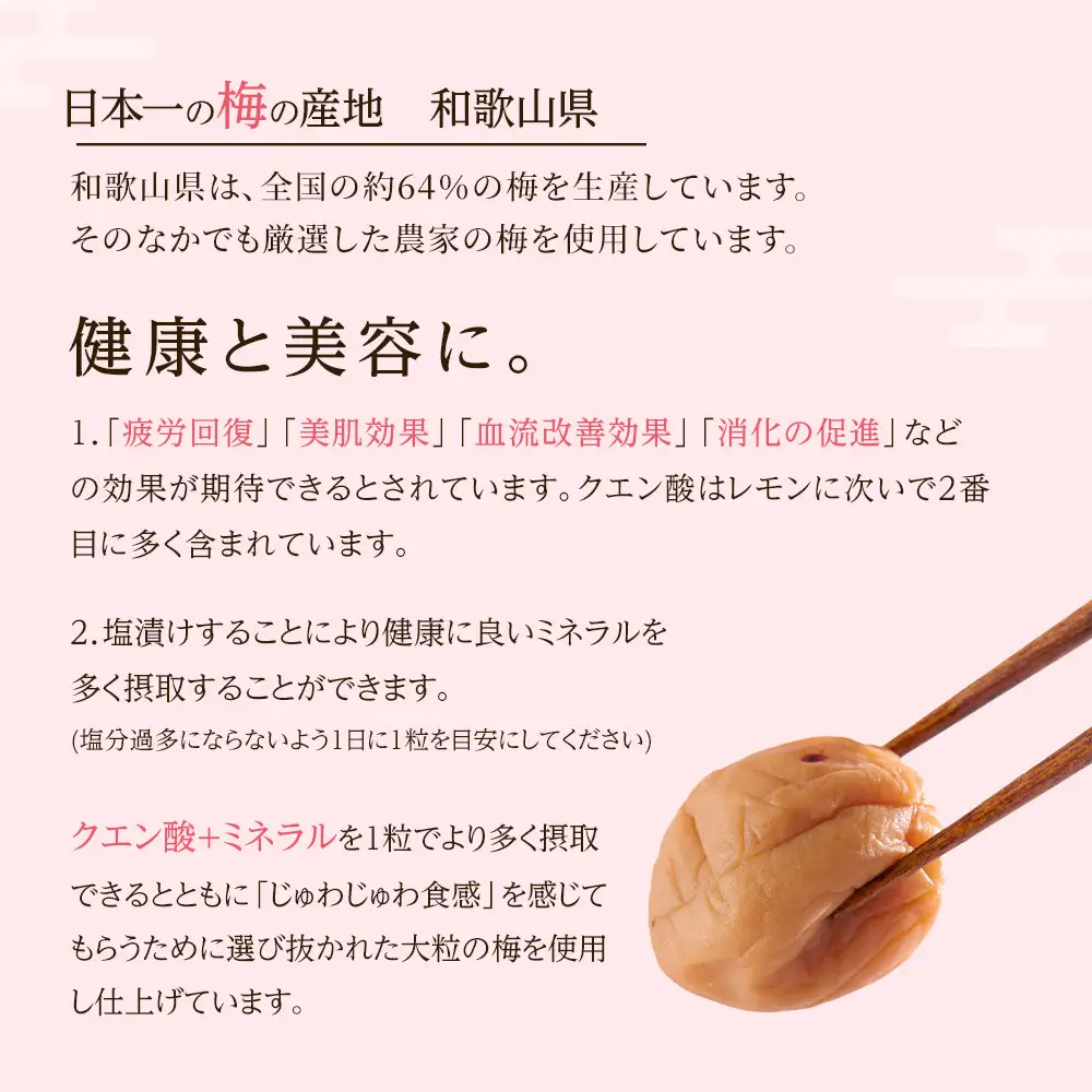 訳あり 梅干し 大粒 大玉 つぶれ梅 はちみつ梅 約500g × 6回 塩分8％ [ 定期便 2か月に１回発送・全6回 ]