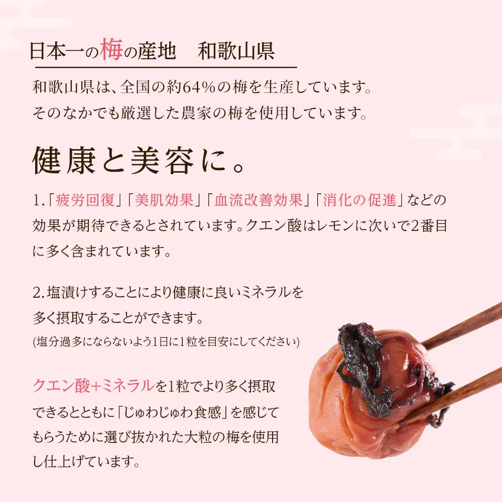 訳あり 梅干し 大粒 大玉 つぶれ梅 しそ梅 約500g × 3回 塩分10％ [ 定期便 2か月に１回発送・全3回 ]