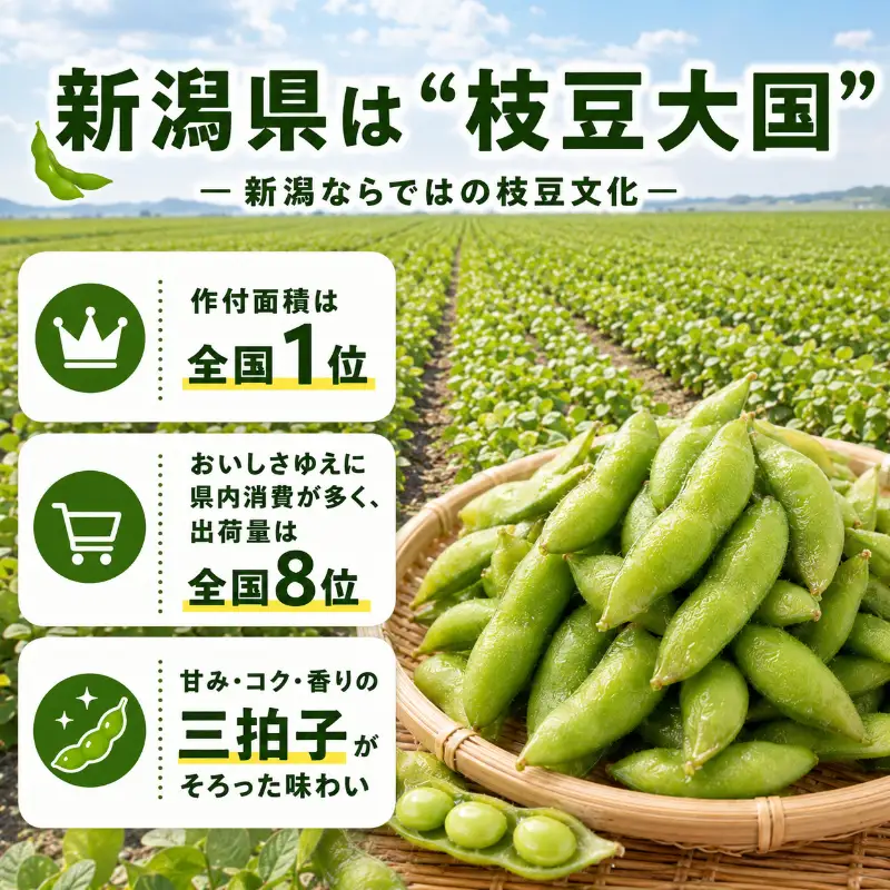 【9月末～発送開始】枝豆 1kg 朝採り新潟県黒埼産 枝豆