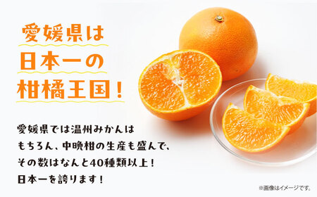 まどんな 100%ストレートジュース（720ml×12本）みかんジュース まどんな /峯田農園 [AGBT016]