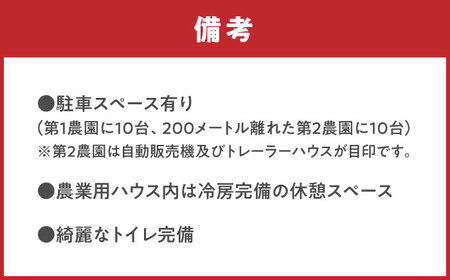 ブルーベリー狩り 80分食べ放題 大人1名様 ブルーベリー 体験チケット[AEBZ007]