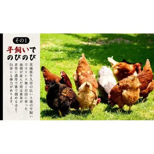 王様の卵 ヨード入 40個 (35個+割れ保障5個 )