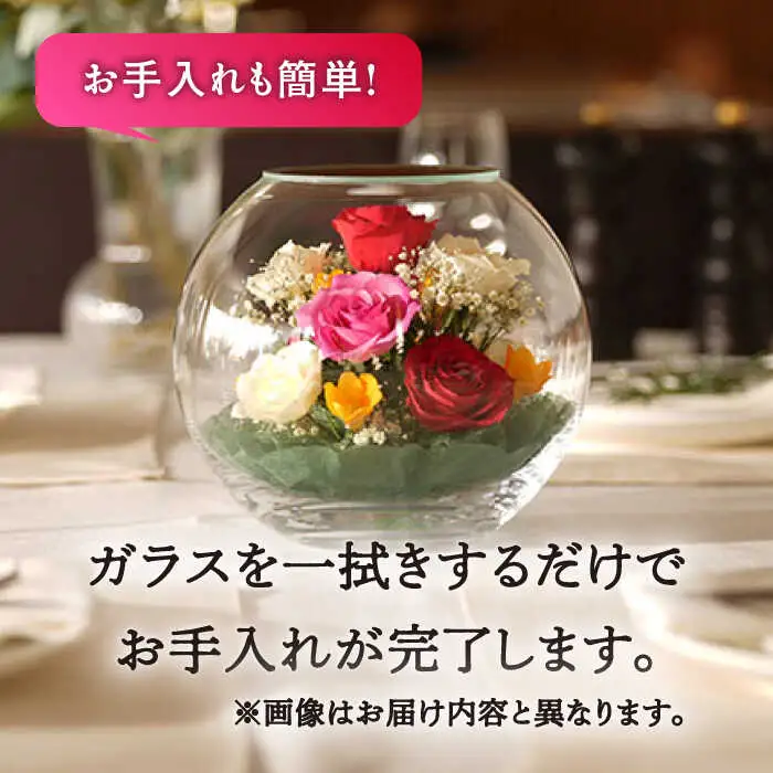 【プレート対応可】ボトルフラワー XA-I / 花 ドライフラワー[AFAW019]