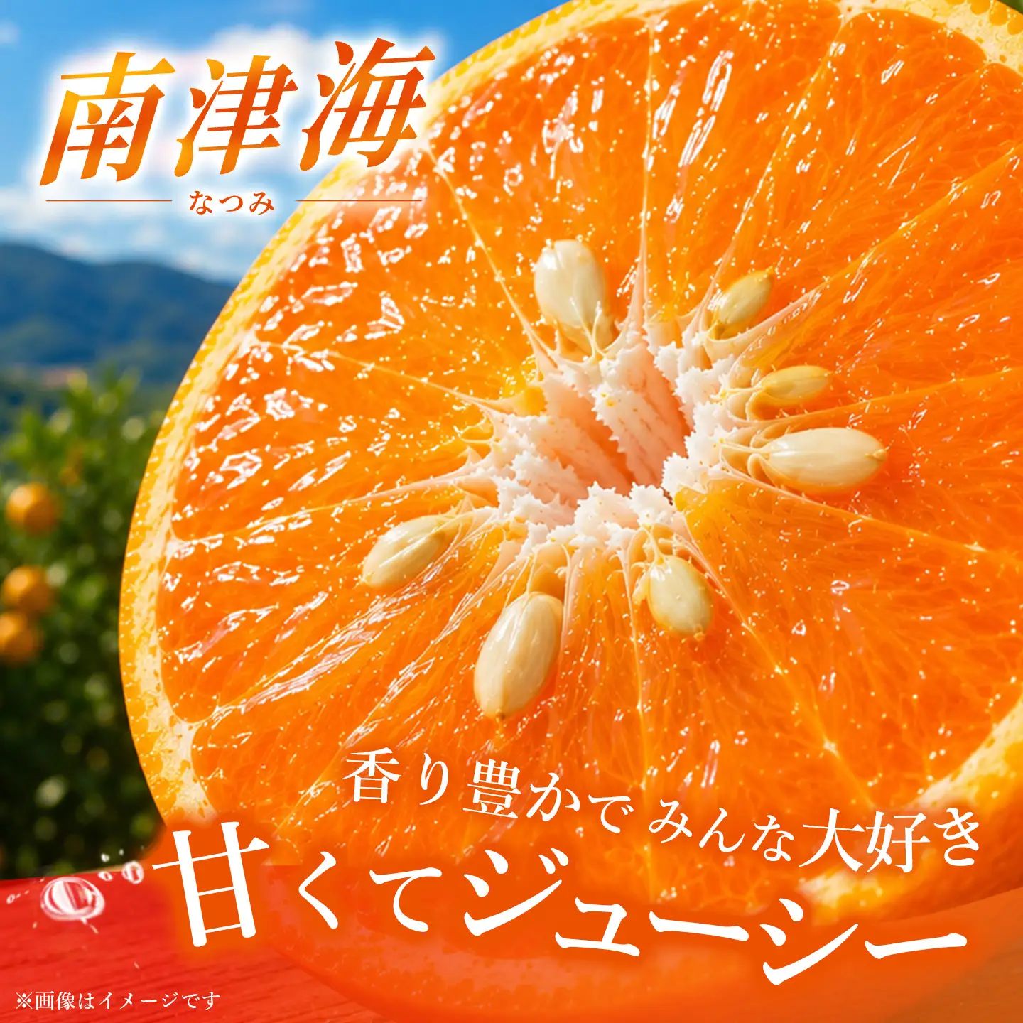 【2027年4月上旬より発送開始】南津海(なつみ)みかん 4.5kg(H116156)