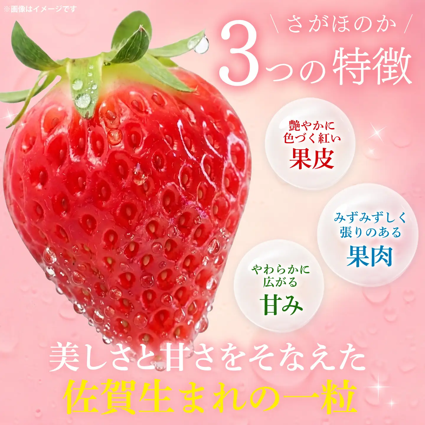 【2027年1月中旬より発送開始】苺(さがほのか・いちごさん)各2パック(H116136)