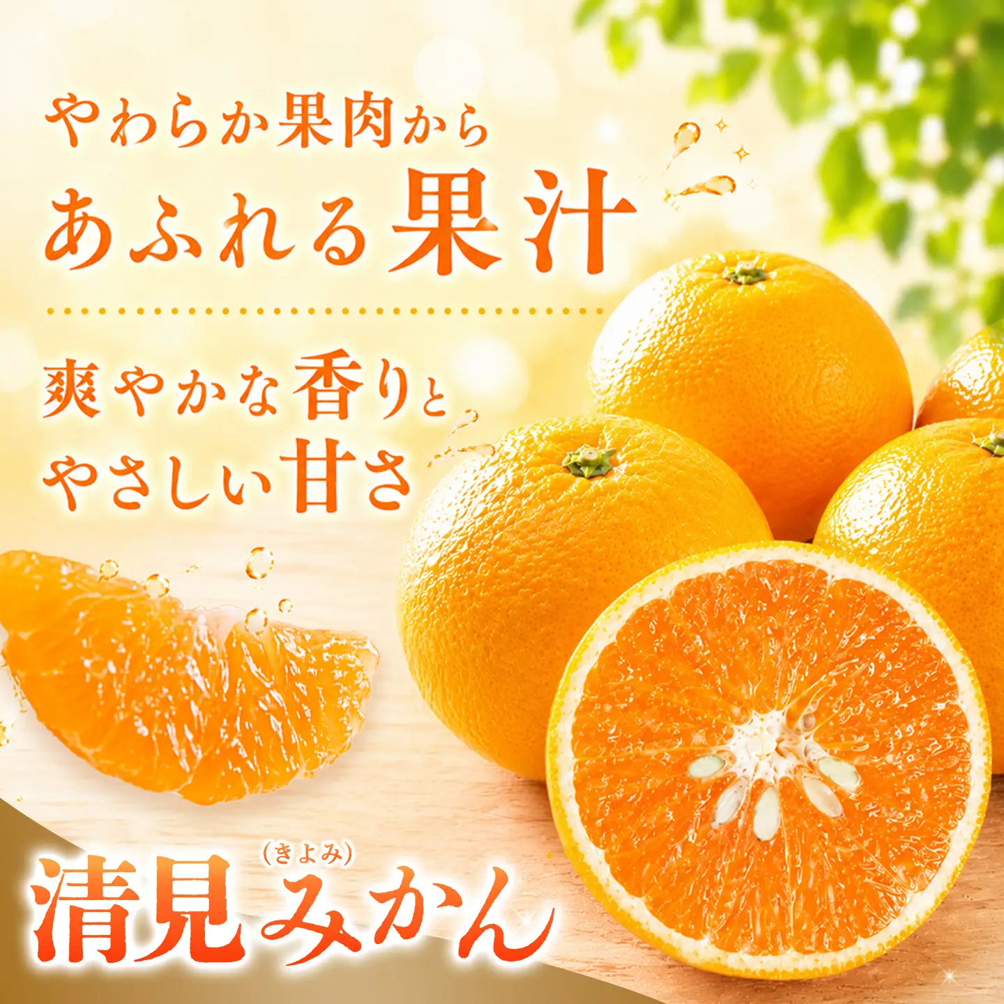 【2027年3月中旬より発送開始】清見(きよみ)みかん 8kg～10kg(H116139)