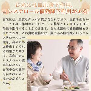 【きぬむすめ】令和7年産 白米20kg【5営業日以内に発送】