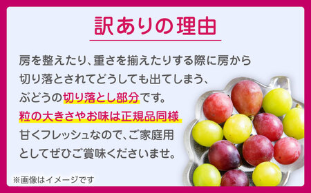 【先行予約】 訳あり 紅白ぶどう2種（シャインマスカット＆クイーンニーナ）食べ比べ 切り落とし 計約1kg  【合同会社 社方園】[ZBZ041]