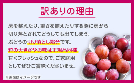 　【2026年発送先行予約】【2回定期便】　訳あり クイーンニーナ ぶどう 切り落とし 約1kg  【合同会社 社方園】[ZBZ045]