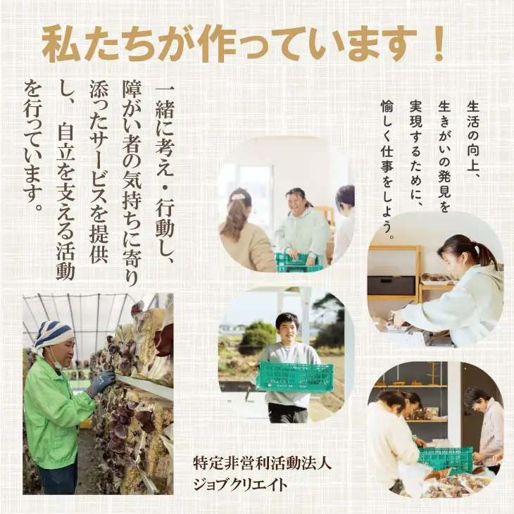 国産 自家製 乾燥 きくらげ （400g）ジョブクリエイト きくらげ B130-053