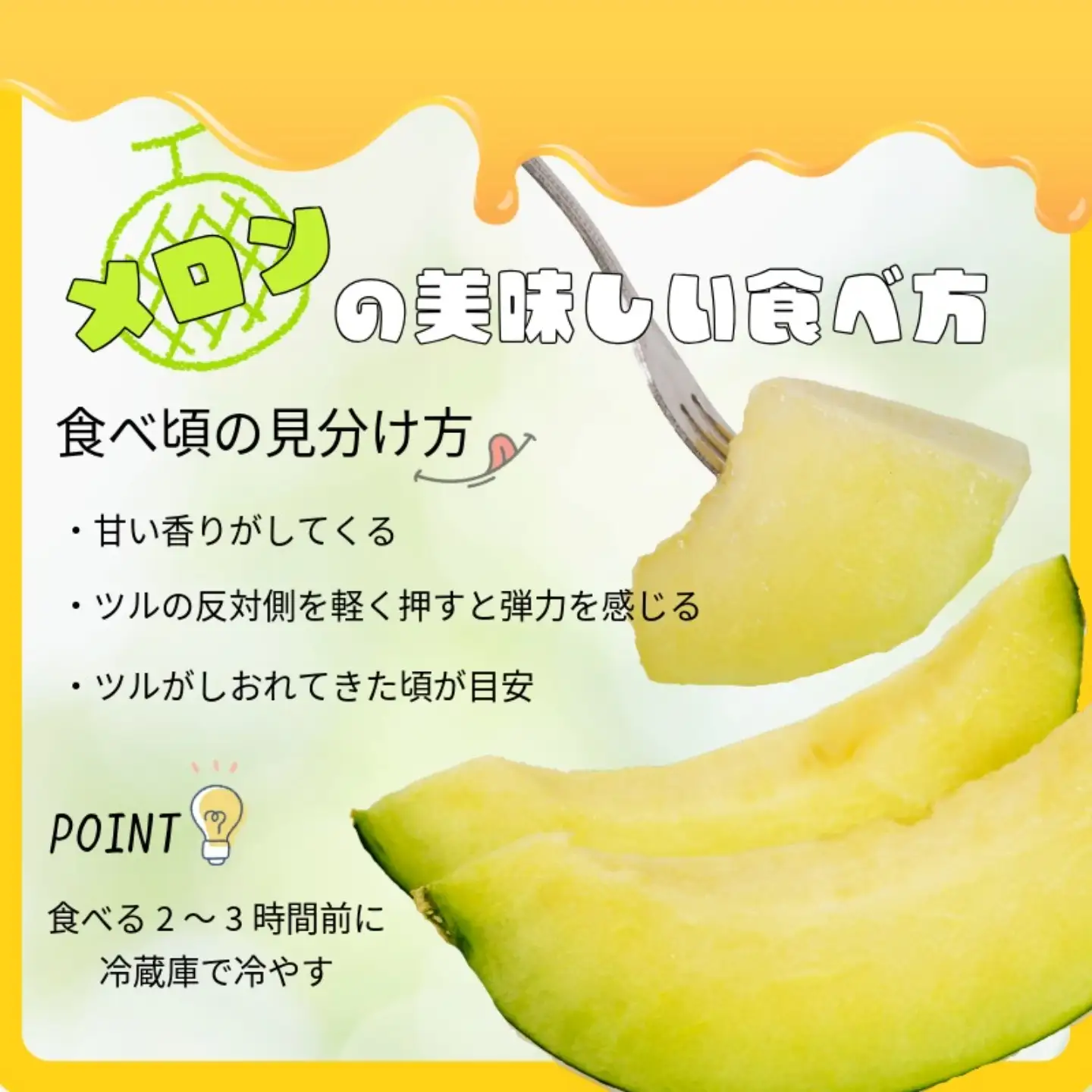 アムスメロン 4玉 メロン 【6月下旬〜7月中旬発送】