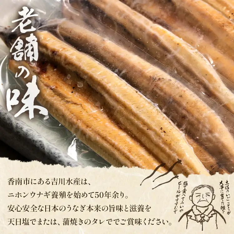 【天日塩付き】国産うなぎ 鰻 高知県産 白焼き 10尾(100～110g) 合計1kg以上【鰻 鰻 鰻 鰻 鰻】 yw-0087