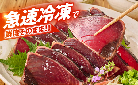 【6回定期便】大満足！ カツオたたき 約1.5kg 総計約9kg たれ 塩つき 【興洋フリーズ株式会社】[ATBX092]