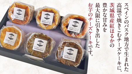 【 真珠(シンジュ) 】 お芋の結 バスクチーズケーキ リトル ６個（小ホール型）
