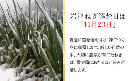 【ふるさと納税】朝来市特産「岩津ねぎ」3kg（箱入り） ■道の駅 但馬のまほろば産直の会がお届けする冬季限定「まぼろしのねぎ」ねぎ ネギ 葱 岩津ねぎ 岩津ネギ 長ネギ 長ねぎ 長葱 兵庫県 朝来市 AS1BD2