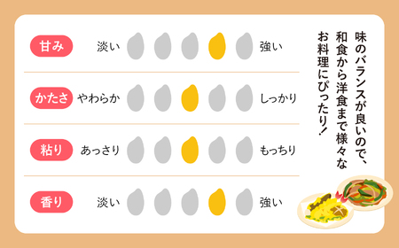 無洗米 ひとめぼれ 5kg 2回定期便  |  無洗